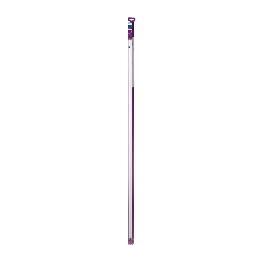 LED Fluorescent tube Philips T8 G13/19,5W/230V 3000K 150 cm