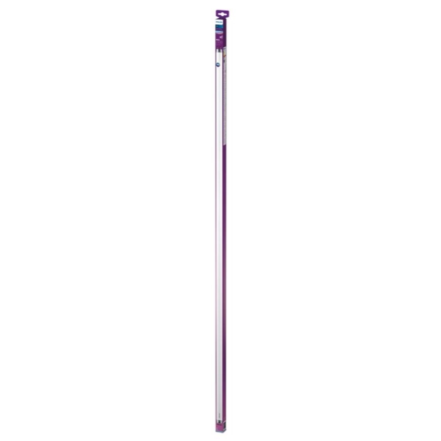 LED Fluorescent tube Philips T8 G13/19,5W/230V 6500K 150 cm