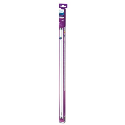 LED Fluorescent tube Philips T8 G13/8W/230V 4000K 60 cm