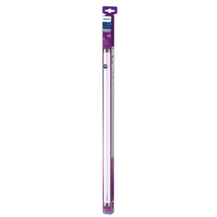 LED Fluorescent tube Philips T8 G13/8W/230V 6500K 60 cm