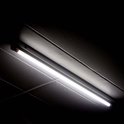 LED Fluorescent tube T5 G5/16W/230V 6500K 120 cm