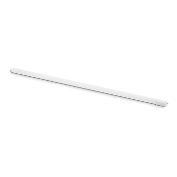 LED Fluorescent tube T8 G13/18W/230V 4000K 120 cm