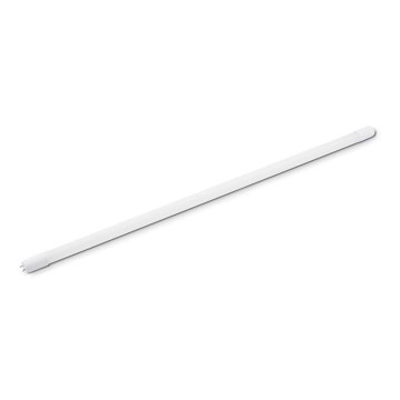 LED Fluorescent tube T8 G13/22W/230V 150 cm