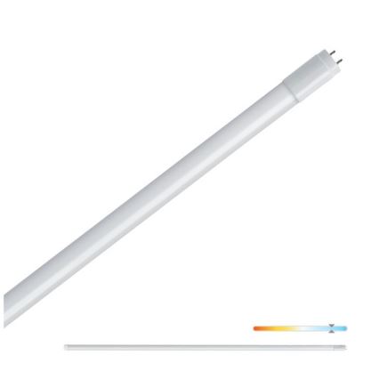 LED Fluorescent tube T8 G13/22W/230V 6500K 150 cm