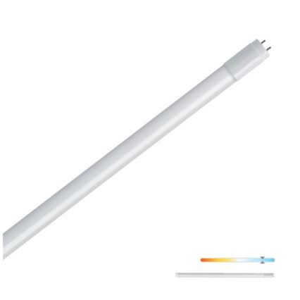 LED Fluorescent tube T8 G13/9W/230V 6500K 60 cm