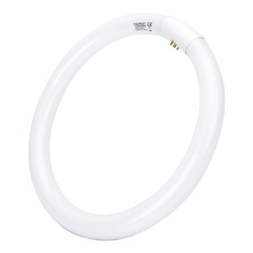 LED Fluorescent tube T9 G24q-1/32W/230V 6500K - Aigostar