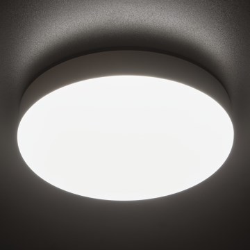 LED Heavy-duty ceiling light IPER LED/19W/230V IK10 IP65 round white