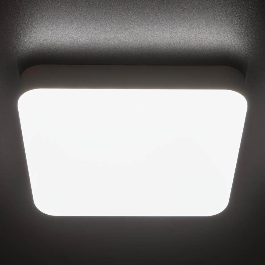 LED Heavy-duty ceiling light with motion sensor IPER LED/26W/230V IK10 IP65 angular white