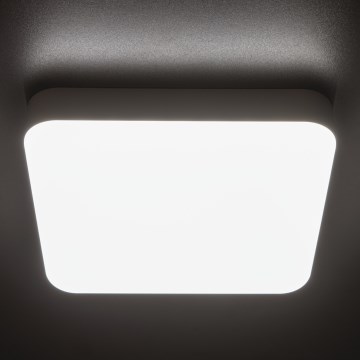 LED Heavy-duty ceiling light with motion sensor IPER LED/35W/230V IK10 IP65 angular white