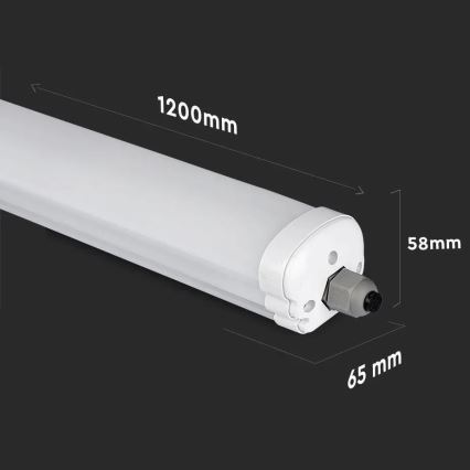 LED Heavy-duty fluorescent light G-SERIES LED/36W/230V 4500K 120cm IP65