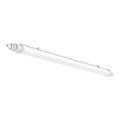 LED Heavy-duty fluorescent light LED/18W/230V 4000K IP65 60 cm