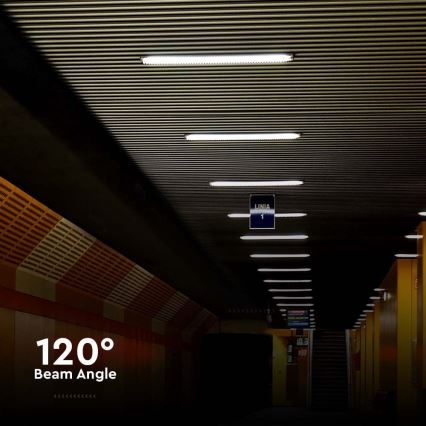 LED Heavy-duty fluorescent light LED/48W/230V 6500K IP65 150 cm