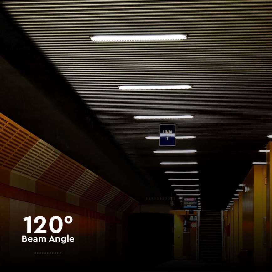 LED Heavy-duty fluorescent light LED/48W/230V 6500K IP65 150 cm