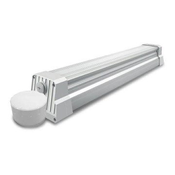 LED Heavy-duty fluorescent light LED/55W/230V IP66
