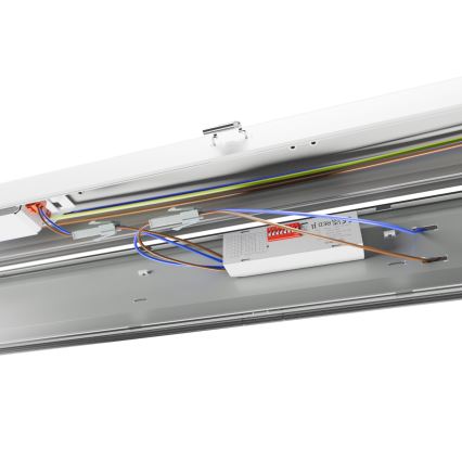 LED Heavy-duty fluorescent light LIMEA GIGANT PRO LED/40/54/68/85W/230V 4000K IK10 IP66 150 cm