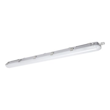 LED Heavy-duty fluorescent light NEXFORCE LED/36W/230V 4000K IP66