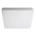 LED heavy-duty light LED/18W/230V IP54 4000K