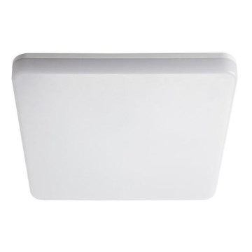 LED heavy-duty light LED/24W/230V IP54 4000K