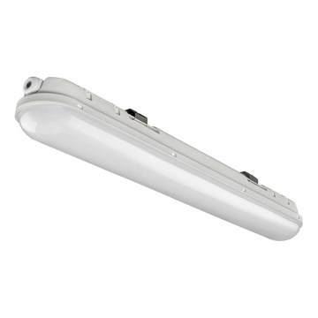 LED Heavy-duty light LED/33W/230V 4000K IP65