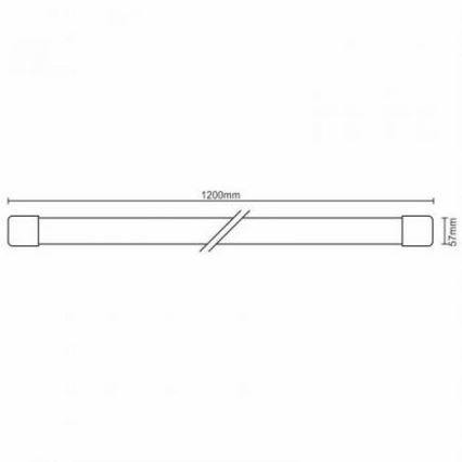 LED Heavy-duty light LED/36W/230V IP40