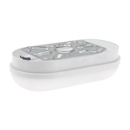 LED Heavy-duty light LED/8W/230V IP54