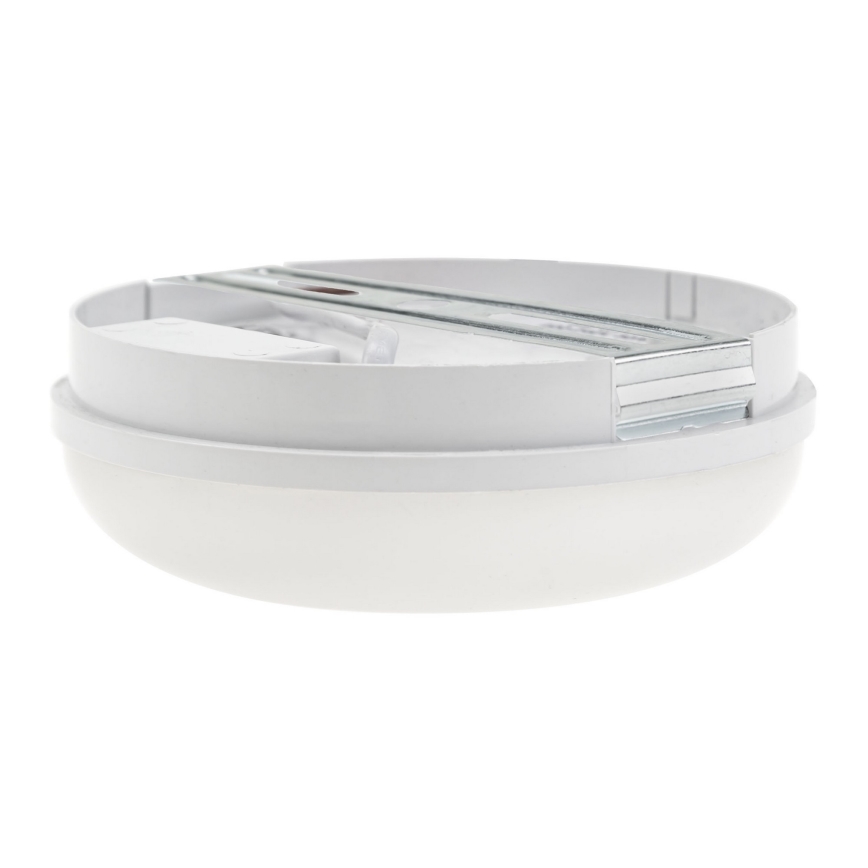 LED Heavy-duty light LED/8W/230V IP54