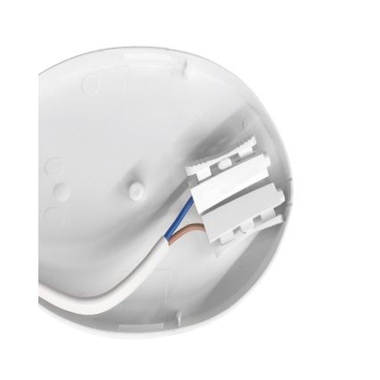 LED Heavy-duty light LED/8W/230V IP54
