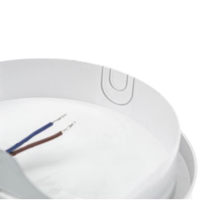 LED Heavy-duty light with PIR sensor LED/20W/230V IP54