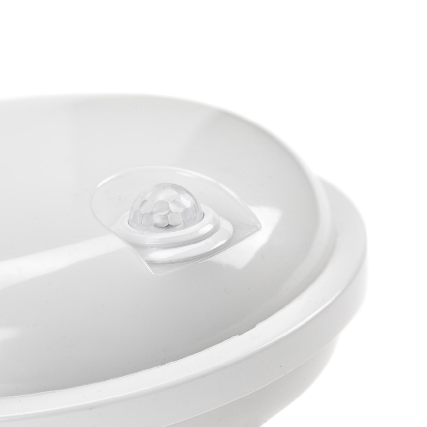 LED Heavy-duty light with PIR sensor LED/20W/230V IP54