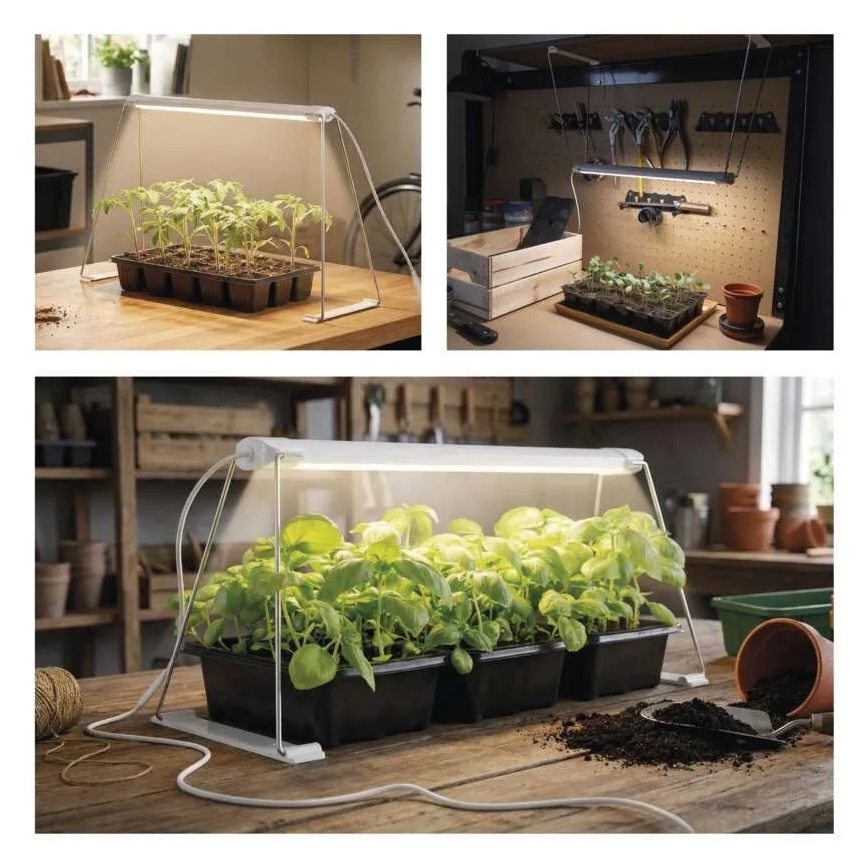 LED Indoor Plant Grow Light GROW LED/15W/230V