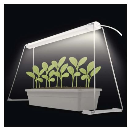 LED Indoor Plant Grow Light GROW LED/15W/230V