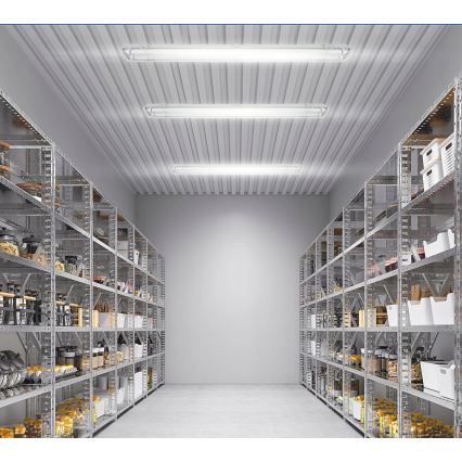 LED Industrial T8 Batten Light, 2x G13, 20W, 230V, 6500K, 120 cm, IP65, White