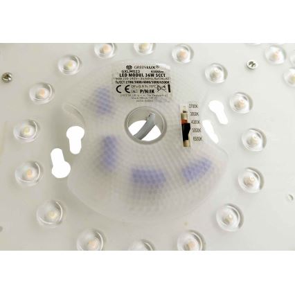 LED Magnetic Module LED/36W/230V Ø 24 cm 2700/3000/4000/5000/6500K