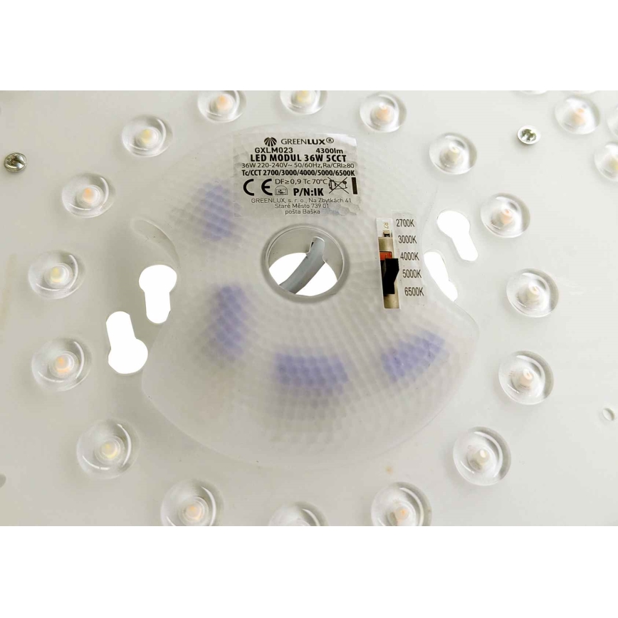LED Magnetic Module LED/36W/230V Ø 24 cm 2700/3000/4000/5000/6500K
