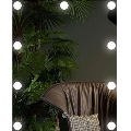 LED Mirror with light 9xLED/1W/230V 3000/4000/6000K 50x40 cm IP44