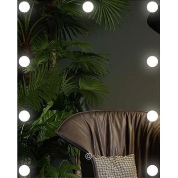 LED Mirror with light 9xLED/1W/230V 3000/4000/6000K 50x40 cm IP44