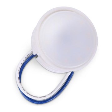 LED Module LED/5W/230V 6000K