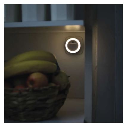 LED night light with dusk sensor LED/0,3W/230V