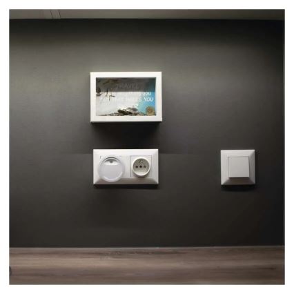 LED night light with dusk sensor LED/0,3W/230V