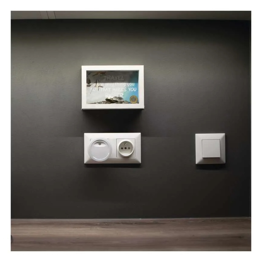 LED night light with dusk sensor LED/0,3W/230V