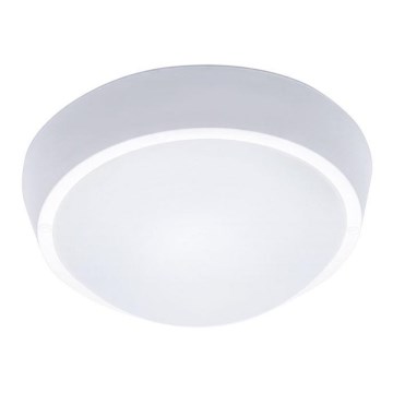 LED Outdoor ceiling light 1xLED/18W/230V  IP65
