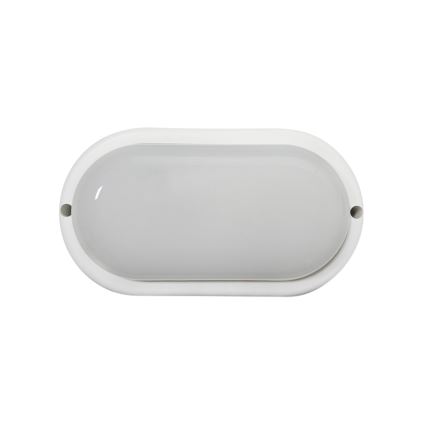 LED Outdoor Ceiling Light, 8W, 230V, 4200K, IP64, White