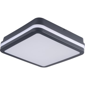 LED Outdoor ceiling light BENO LED/12/18W/230V 3000/3500/4000K IP65 anthracite angular