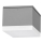 LED Outdoor ceiling light BRUNO LED/10W/230V IP54