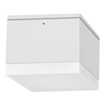 LED Outdoor ceiling light BRUNO LED/10W/230V IP54
