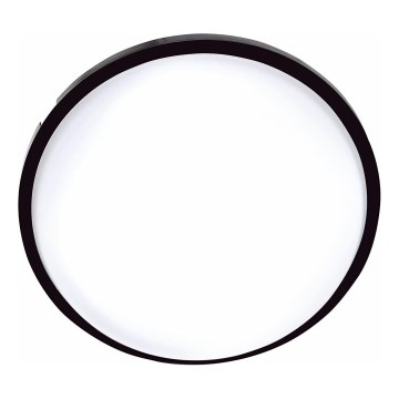 LED Outdoor ceiling light DARA LED/20W/230V IP65 black