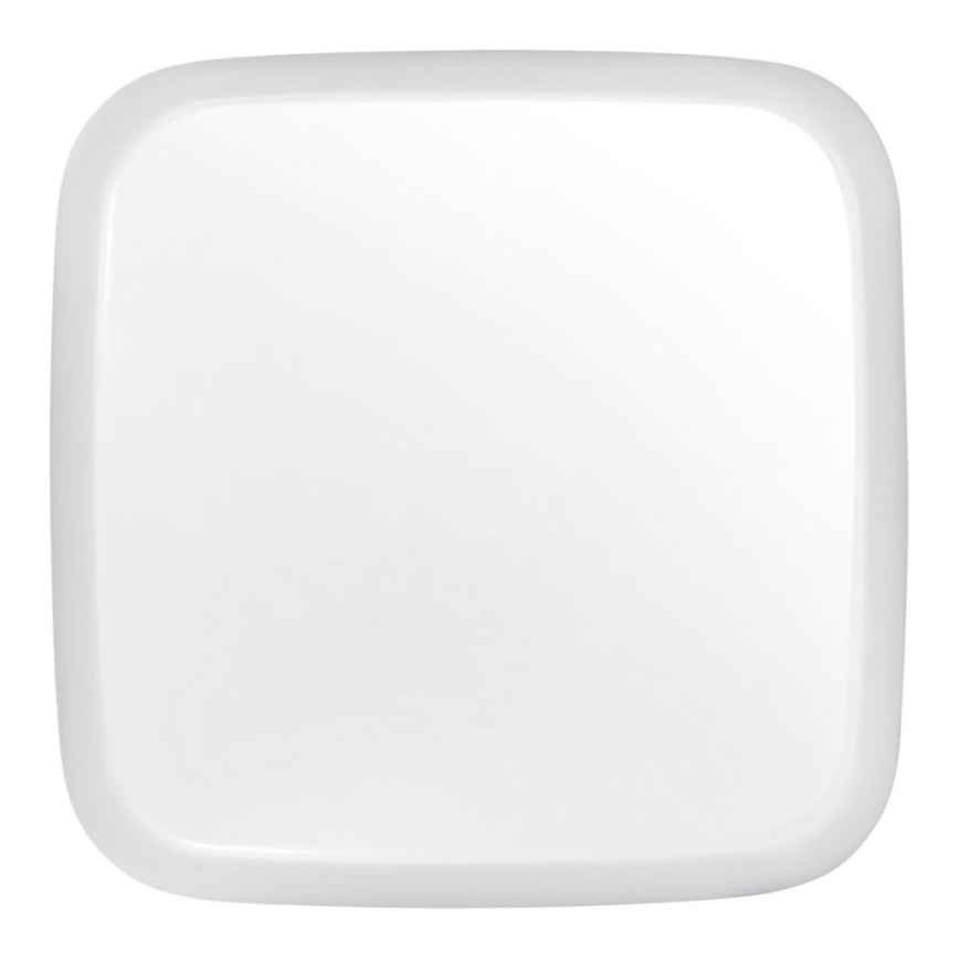 LED Outdoor ceiling light DORI LED/18W/230V IP54 square