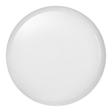 LED Outdoor ceiling light DORI LED/24W/230V IP54 round