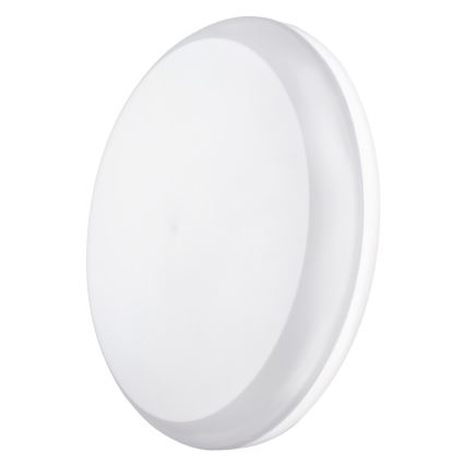 LED Outdoor ceiling light DORI LED/24W/230V IP54 round