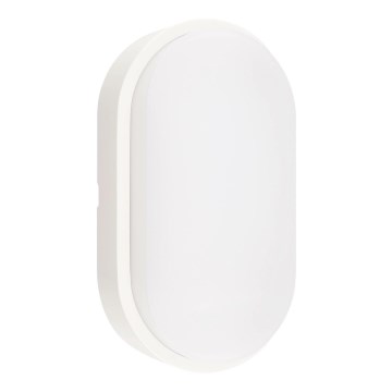 LED Outdoor ceiling light LED/12W/230V 3000/4000/6500K IP65 white